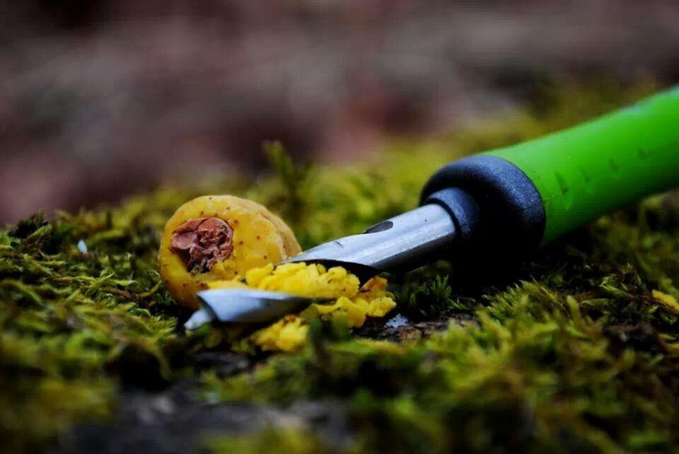 Diverse - img30401173862460.jpeg